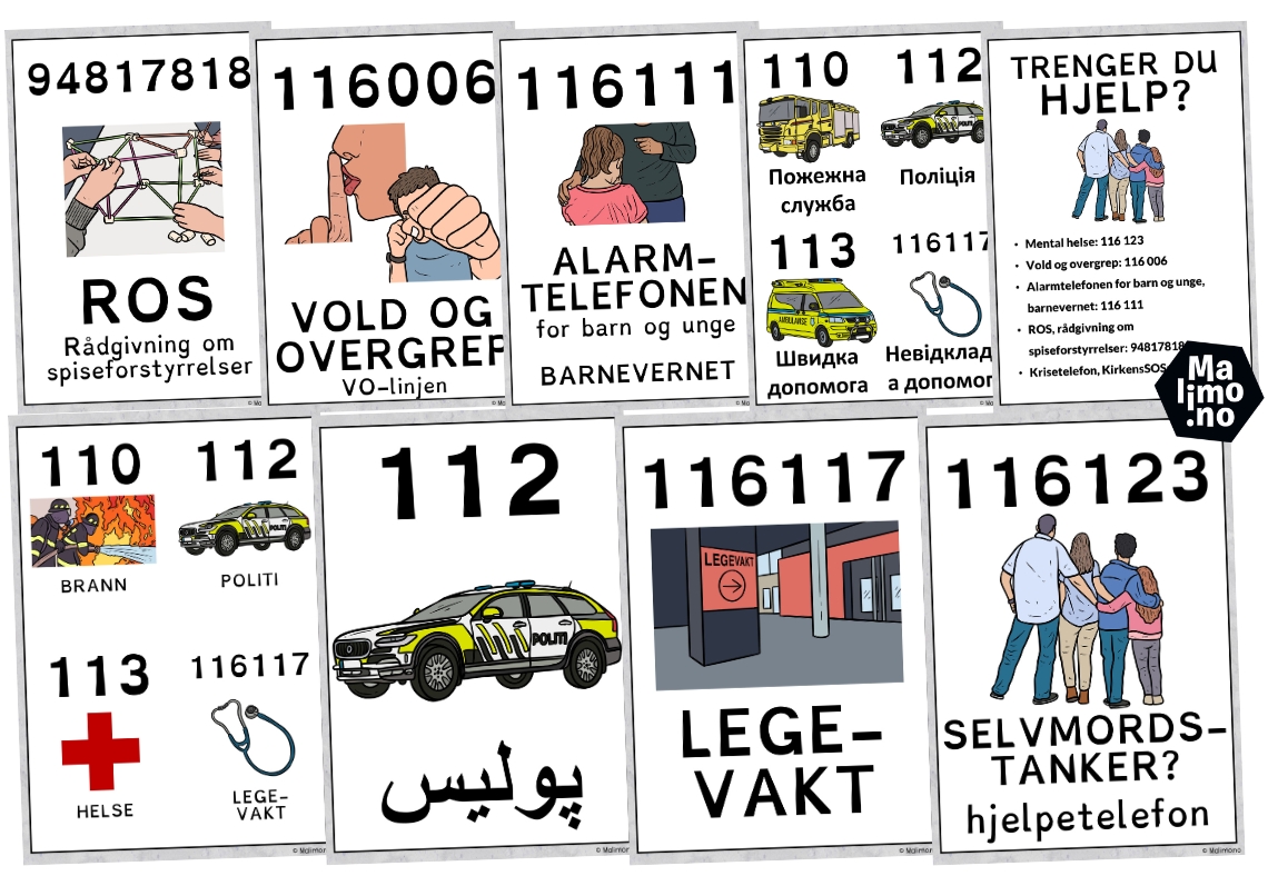 Flerspråklig klassromsdekor gir god støtte for minoritetsspråklige elever. Tegnspråk, nordsamisk, sørsamisk, ukrainsk, arabisk ++ Voksende