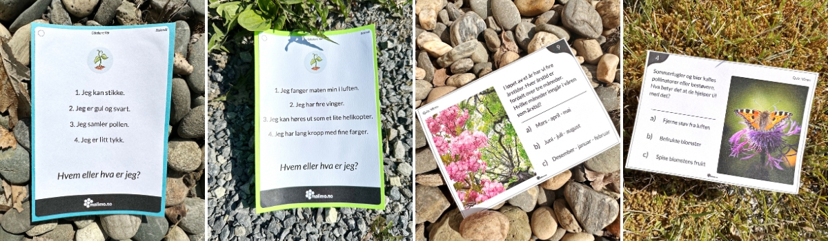 Variert materiell for å jobbe med vår-relaterte tema. Fra barnehage til ungdomstrinn. Nivådelt. Aktiviteter.
