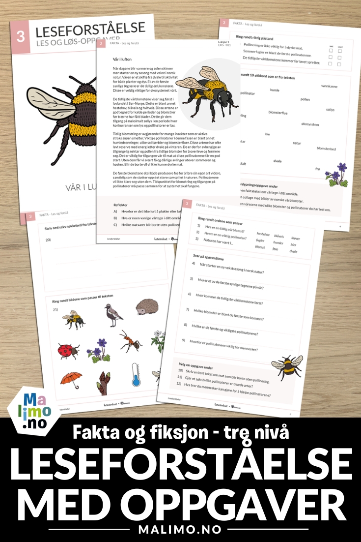 Leseforståelse er en serie med nivådelt materiell med oppgaver for 1.-10.trinn. Fiksjon og fakta. Bokmål, nynorsk og engelsk.