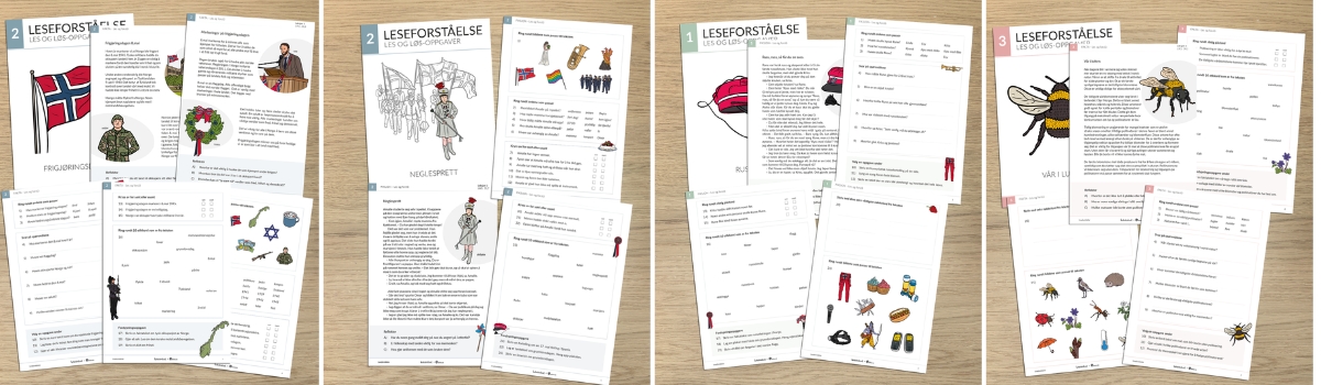 Leseforståelse er en serie med nivådelt materiell med oppgaver for 1.-10.trinn. Fiksjon og fakta. Bokmål, nynorsk og engelsk.