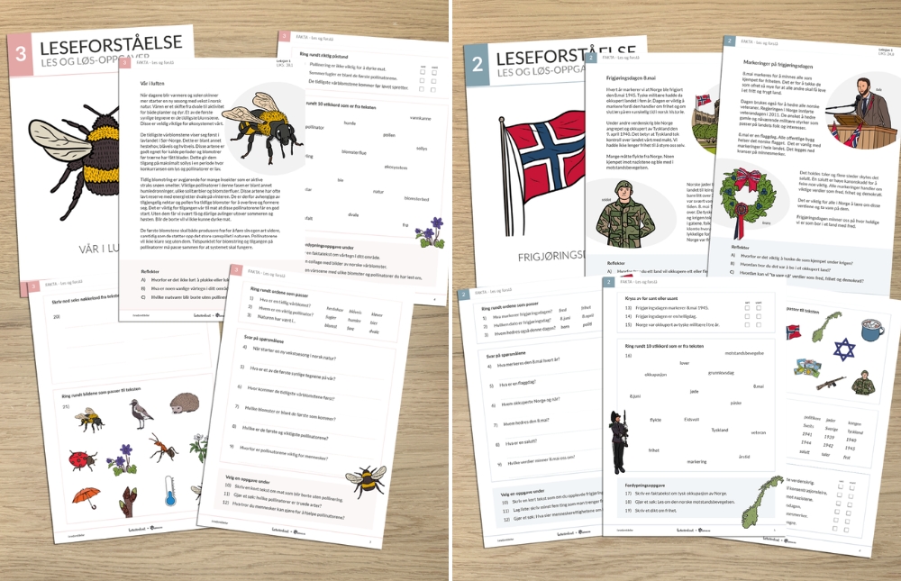 Leseforståelse er en serie med nivådelt materiell med oppgaver for 1.-10.trinn. Fiksjon og fakta. Bokmål, nynorsk og engelsk.