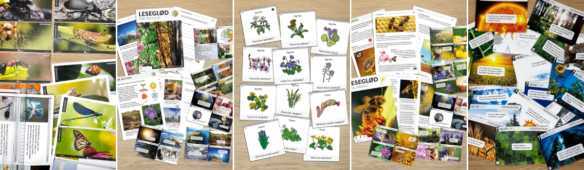 Prosjekt for å sanke frø og så blomstereng. Redd pollinatorer og bevar det norske kulturlandskapet. Uteskole og naturfag.