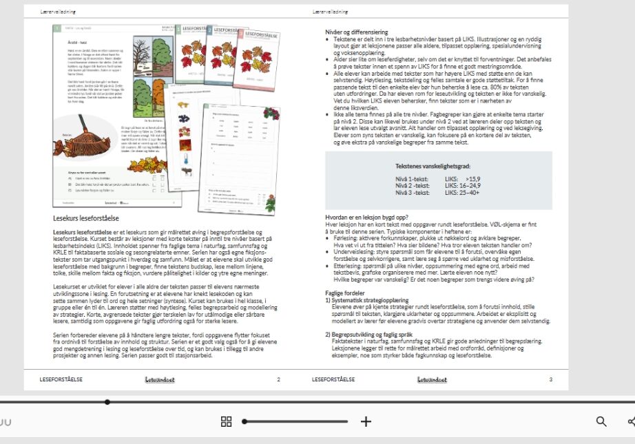 Laererveiledninger-lesekurs