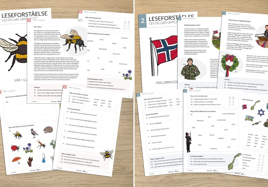 Leseforståelse er en serie med nivådelt materiell med oppgaver for 1.-10.trinn. Fiksjon og fakta. Bokmål, nynorsk og engelsk.